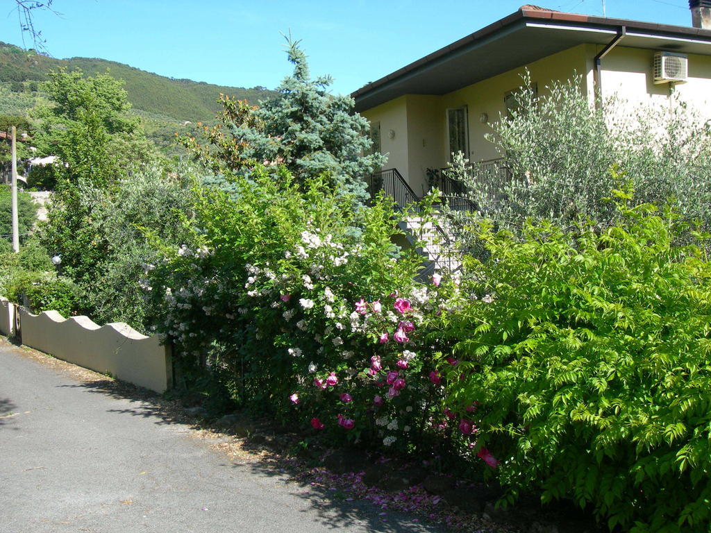 Gli Olivi Villa Calci Cameră foto